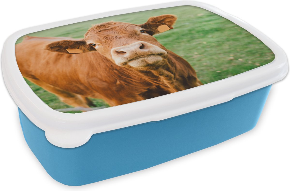 Broodtrommel Blauw - Lunchbox - Brooddoos - Koe - Bruin - Gras - 18x12x6 cm - Kinderen - Jongen