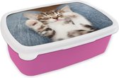 Broodtrommel Roze - Lunchbox - Brooddoos - Kitten ligt op schoot - 18x12x6 cm - Kinderen - Meisje
