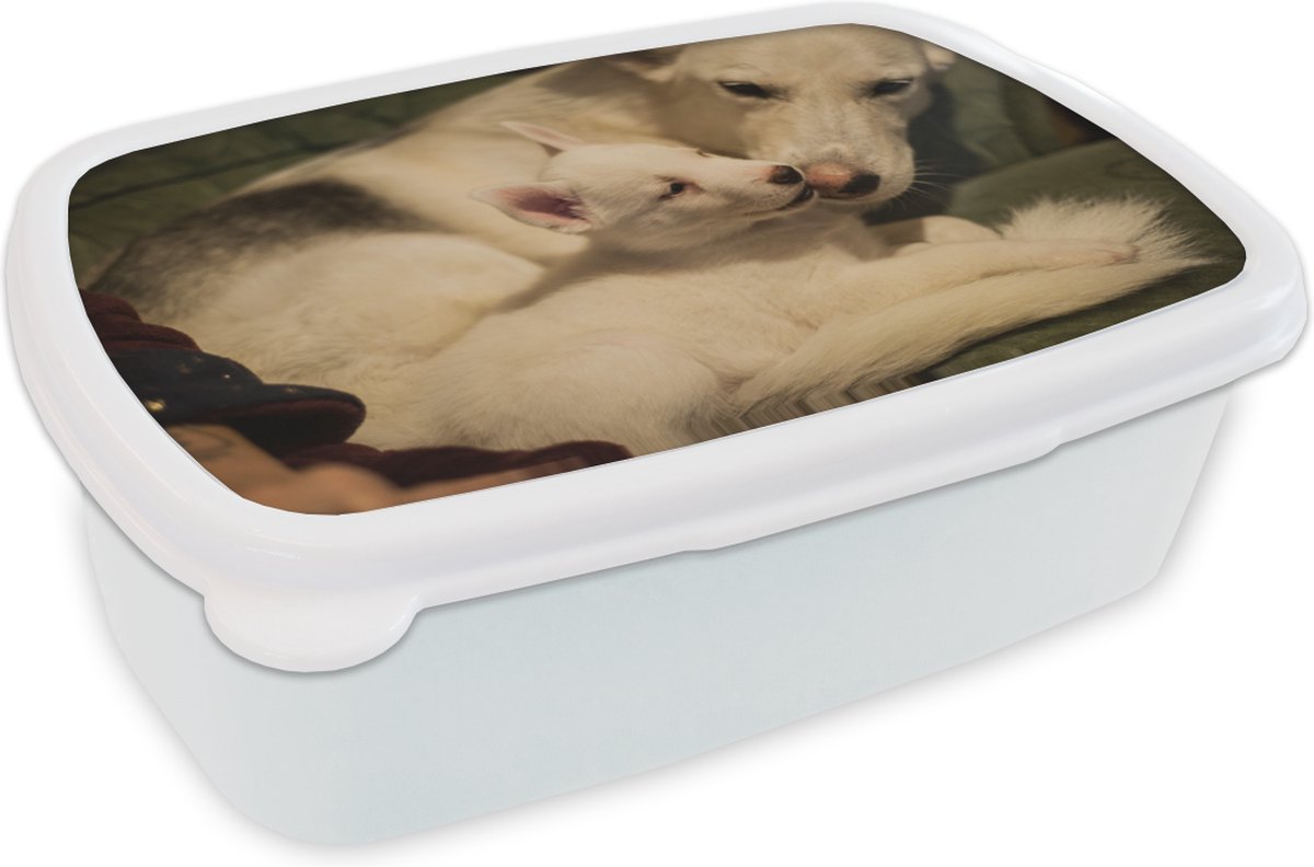 Broodtrommel Wit - Lunchbox - Brooddoos - Moeder met puppy - 18x12x6 cm - Volwassenen