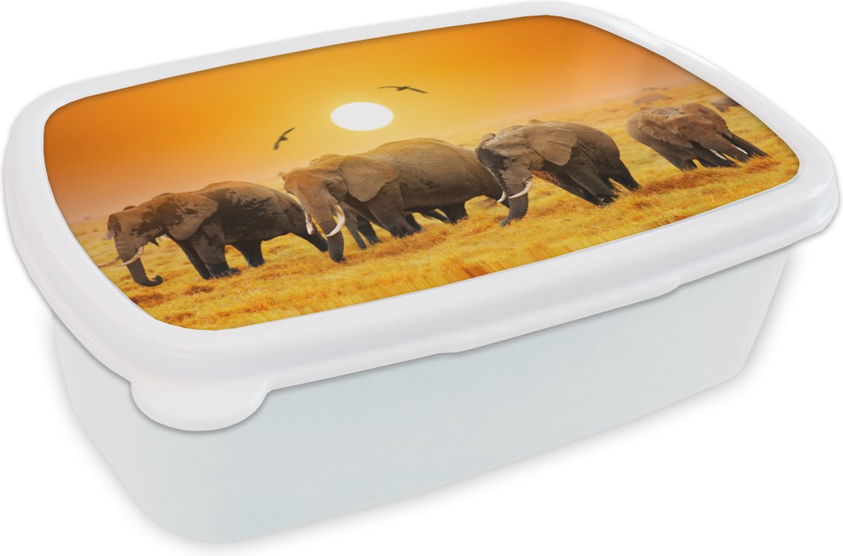 Broodtrommel Wit - Lunchbox - Brooddoos - Olifant - Vogel - Oranje - 18x12x6 cm - Volwassenen