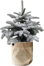 Picea Sneeuw in Sizo bag (natural met metalen ring) – ↨ 85cm – ⌀ 30cm