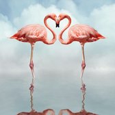 Flamingo love – 75cm x 75cm - Fotokunst op PlexiglasⓇ incl. certificaat & garantie.