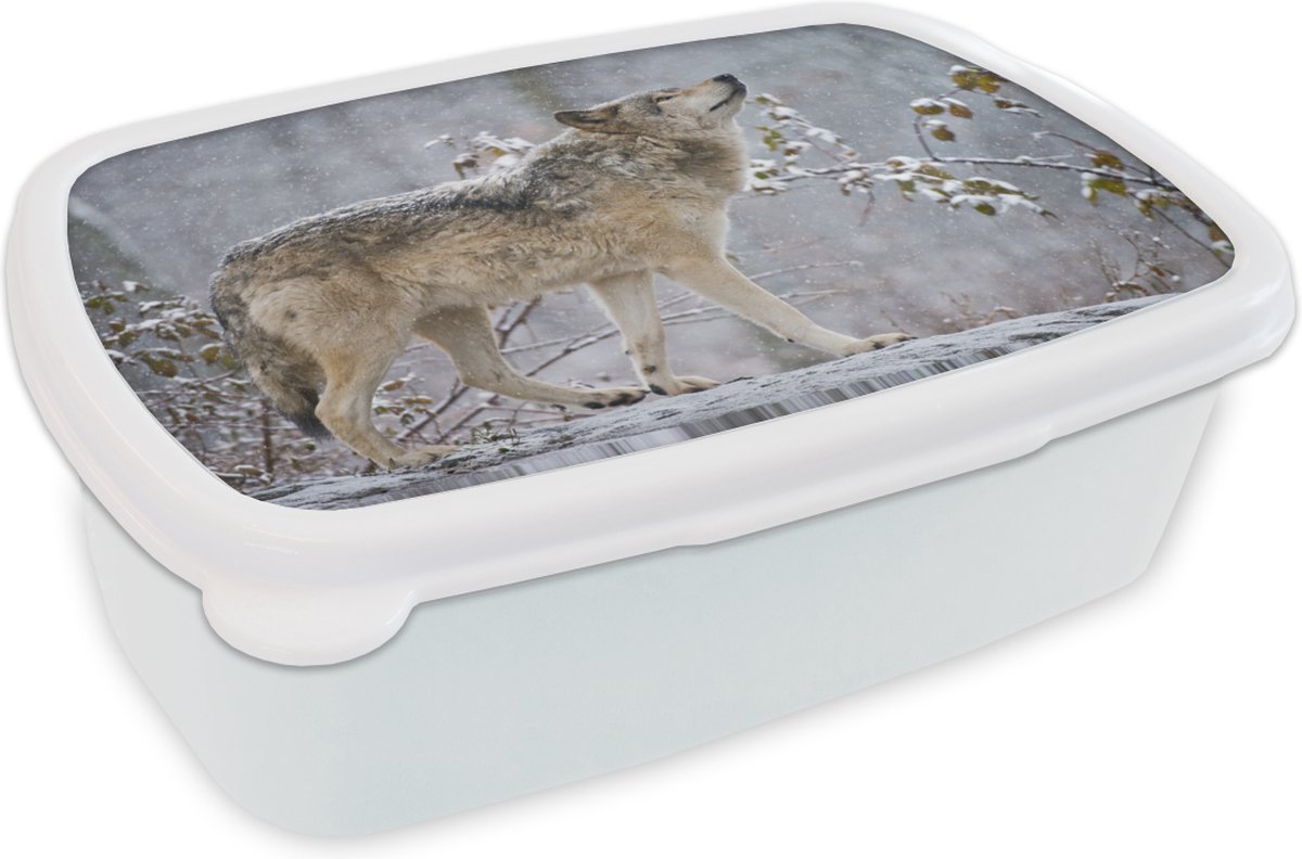 Broodtrommel Wit - Lunchbox - Brooddoos - Wolf - Sneeuw - Winter - 18x12x6 cm - Volwassenen