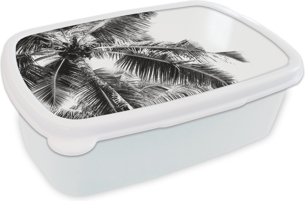 Broodtrommel Wit - Lunchbox - Brooddoos - Zomer - Palmboom - Zwart - Wit - 18x12x6 cm - Volwassenen