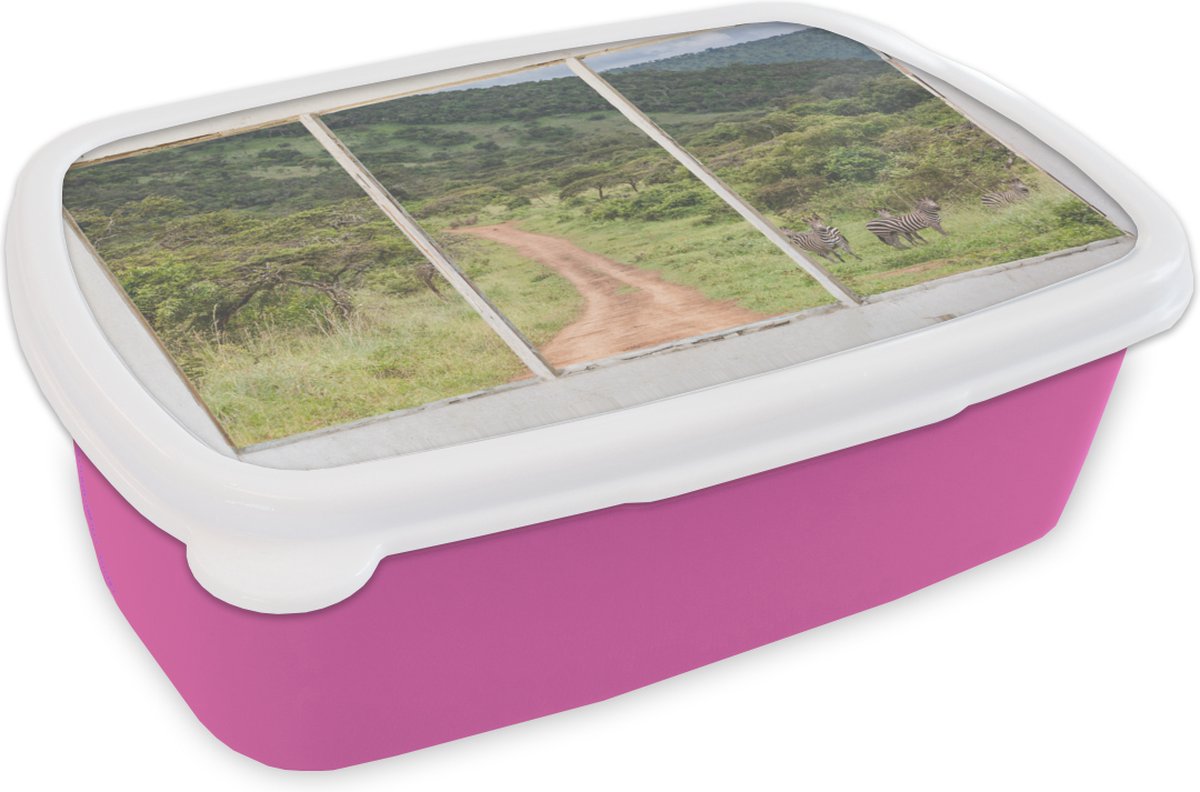 Broodtrommel Roze - Lunchbox - Brooddoos - Doorkijk - Zebra - Dieren - 18x12x6 cm - Kinderen - Meisje