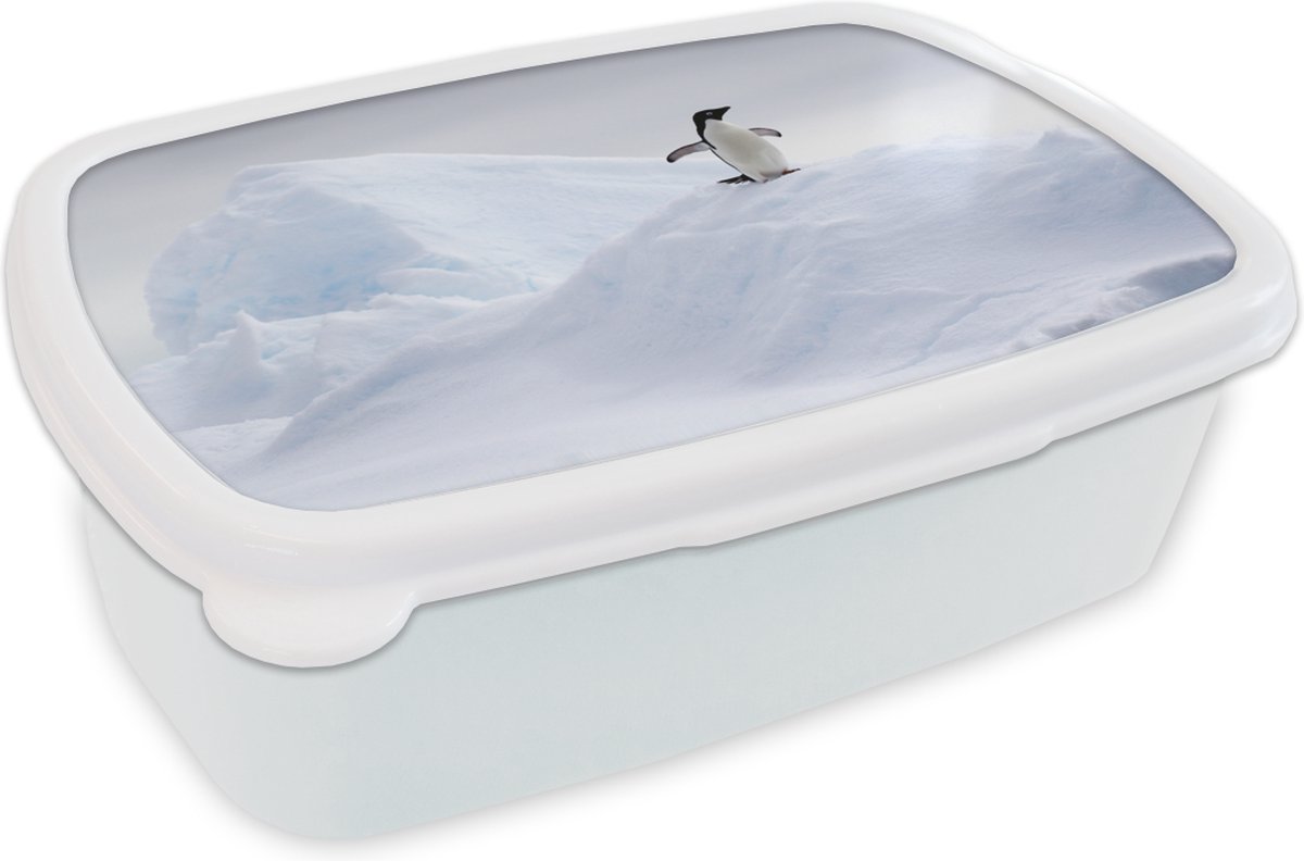 Broodtrommel Wit - Lunchbox - Brooddoos - Pinguïn - IJs - Winter - 18x12x6 cm - Volwassenen