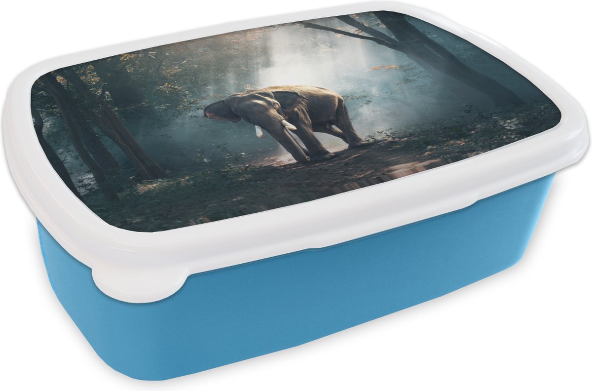 Broodtrommel Blauw - Lunchbox - Brooddoos - Olifant - Bos - Zon - 18x12x6 cm - Kinderen - Jongen