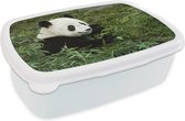 Broodtrommel Wit - Lunchbox - Brooddoos - Panda - Bamboe - Plant - 18x12x6 cm - Volwassenen