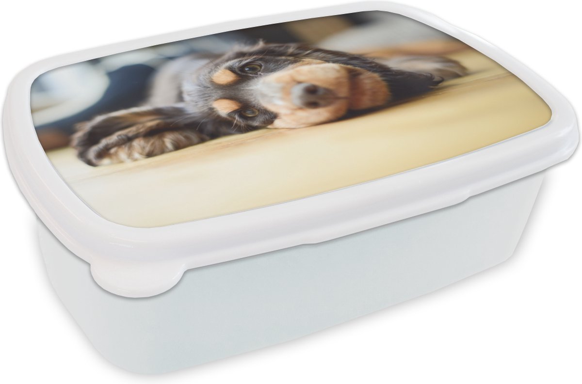 Broodtrommel Wit - Lunchbox - Brooddoos - Hond liggend op de grond - 18x12x6 cm - Volwassenen
