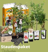Budgetplant - Mix Van Planten - 175 Cm - Ø - 6 Stuks