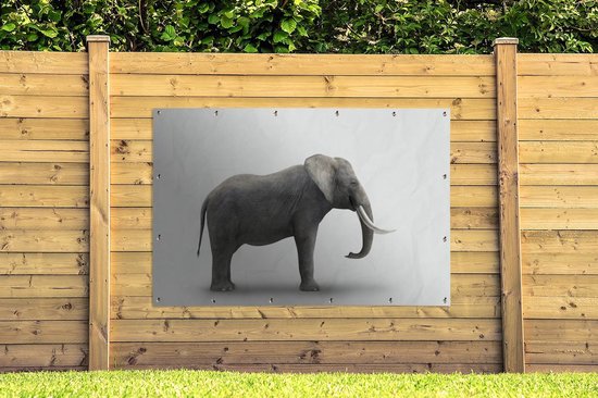 Décoration murale Eléphant sur fond blanc - 180x120 cm - Poster jardin - Toile jardin