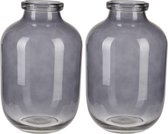 2x stuks grijze glazen vaas/vazen 16 x 28 cm - Vazen van glas