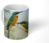 Mok - Twee dwergbijeneters met een kleurrijke en wazige achtergrond - 350 ML - Beker