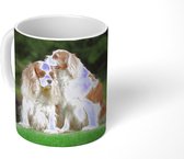 Mok - Schattige Cavalier King Charles-spaniël op een groene wand - 350 ML - Beker