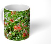 Mok - Alstroemeria's met bloemen bovenaan een lange dunne stengel - 350 ML - Beker