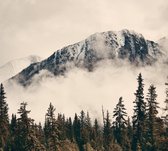 Misty Mountain Forest Sepia, - Papier peint photo (en bandes) - 350 x 260 cm