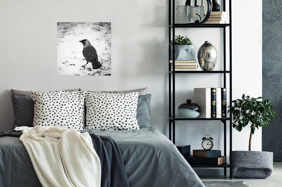 Un choucas dans la neige pendant l'hiver Poster 50x50 cm - Tirage photo sur Poster (décoration murale salon / chambre)