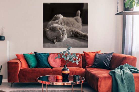 Affiche Animal - Chat - Grijs - 100x100 cm XXL