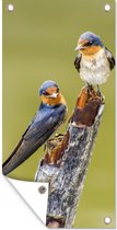 Affiche clôture Vogels - Branche - Portrait - 100x200 cm - Toile de jardin