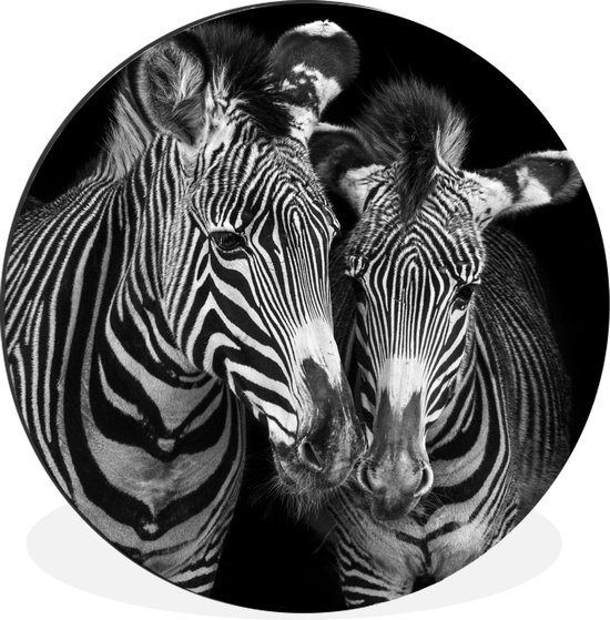 WallCircle - Wandcirkel - Muurcirkel - Dierenprofiel zebra's in zwart-wit - Aluminium - Dibond - ⌀ 30 cm - Binnen en Buiten