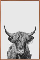 JUNIQE - Poster met kunststof lijst Highland Cow Classic -30x45 /Wit &
