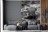 Behang - Fotobehang Rustende Schotse hooglander - zwart wit - Breedte 170 cm x hoogte 260 cm