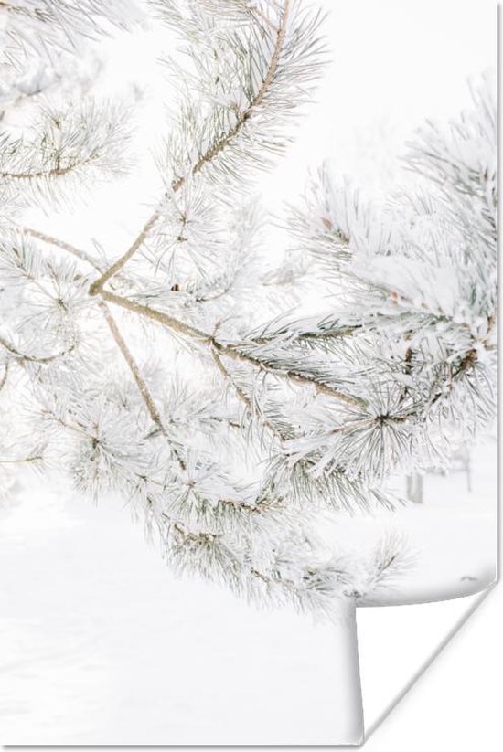 Poster Winter - Sneeuw - Takken - 40x60 cm - Kerstmis Decoratie - Kerstversiering - Kerstdecoratie Woonkamer - Kerstversiering - Kerstdecoratie voor binnen - Kerstmis