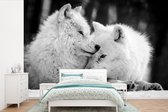 Behang - Fotobehang Twee witte wolven in de sneeuw - zwart wit - Breedte 525 cm x hoogte 350 cm