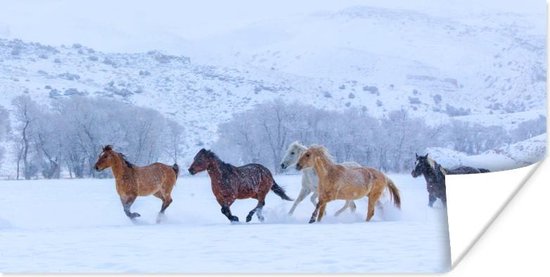 Poster Paarden - Sneeuw - Winter - 40x20 cm