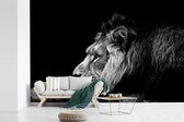Behang - Fotobehang Tekenachtige weergave van een leeuw - zwart wit - Breedte 600 cm x hoogte 400 cm