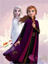 Couverture polaire Disney Frozen La Reine des Neiges Sisters - 140 x 100 cm - Polyester