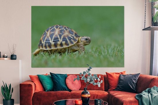 Canvas schilderij 180x120 cm - Wanddecoratie Schildpad op gras - Muurdecoratie woonkamer - Slaapkamer decoratie - Kamer accessoires - Schilderijen