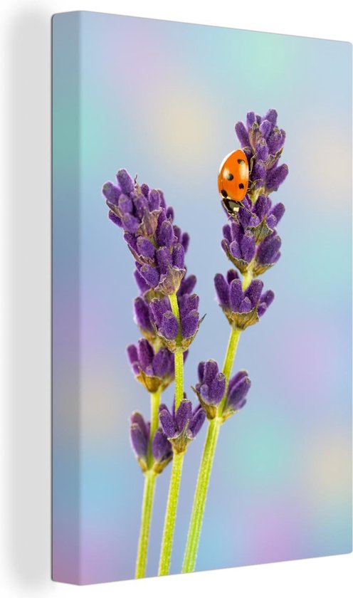 Lieveheersbeestje op lavendelbloem Canvas 80x120 cm - Foto print op Canvas schilderij (Wanddecoratie)