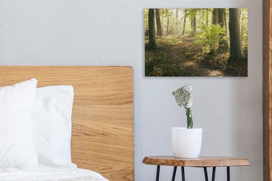 Chemin dans la forêt Toile 30x20 cm - petit - Tirage photo sur toile (Décoration murale salon / chambre) / Décoration murale Peintures sur toile