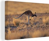 Kangourou sautant sur toile lueur chaude 30x20 cm - petit - Tirage photo sur toile peinture (Décoration murale salon / chambre) / Animaux Peintures sur toile