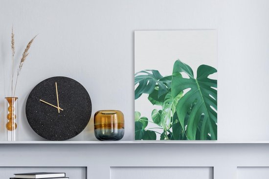 Peintures sur toile - Énormes feuilles botaniques de la plante trouée - 30x40 cm - Décoration murale