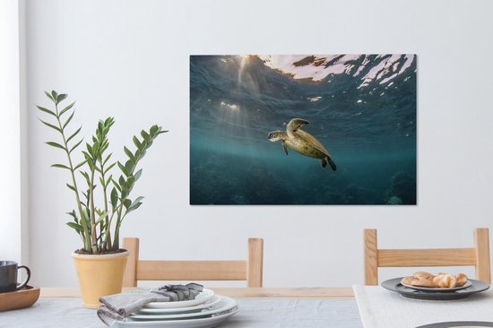Tortue en eau claire sur toile 80x60 cm - Tirage photo sur toile (Décoration murale salon / chambre) / Peintures sur toile Animaux