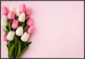 Poster roze tulpen - 30x20 cm