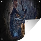 Posters de jardin Hibou assis dans un arbre creux - 50x50 cm - Toile jardin