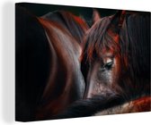 Canvas Schilderij Paarden - Bruin - Slaap - 90x60 cm - Wanddecoratie