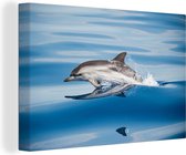 Dauphin saute hors de l'eau 120x80 cm - Tirage photo sur toile (Décoration murale salon / chambre)