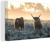 Trois Highlanders écossais dans une pelouse 140x90 cm - Tirage photo sur toile (Décoration murale salon / chambre) / Animaux de la ferme Peintures sur toile