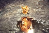 diamond painting kitten & leeuw 50 x 40 cm 440 gr