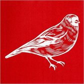 screen stencil vogel 20 x 22 cm