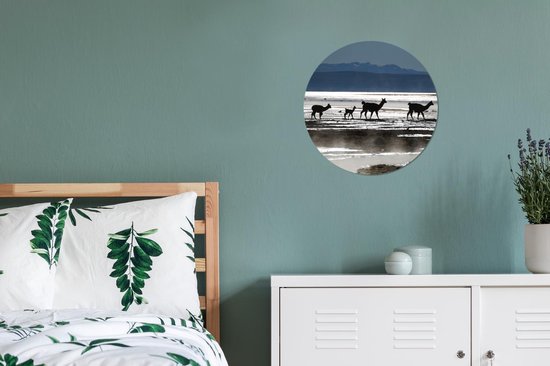 WallCircle - Wall Circle - Wall Circle - Alpagas - Water - Montagnes - Aluminium - Dibond - 30x30 cm - Intérieur et Extérieur