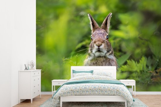 Papier peint Papier peint photo en vinyle - Lapin vigilant largeur 360 cm x hauteur 260 cm - Tirage photo sur papier peint (disponible en 7 tailles)
