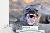 Behang - Fotobehang Hyena - Gapen - Roofdier - Breedte 245 cm x hoogte 220 cm