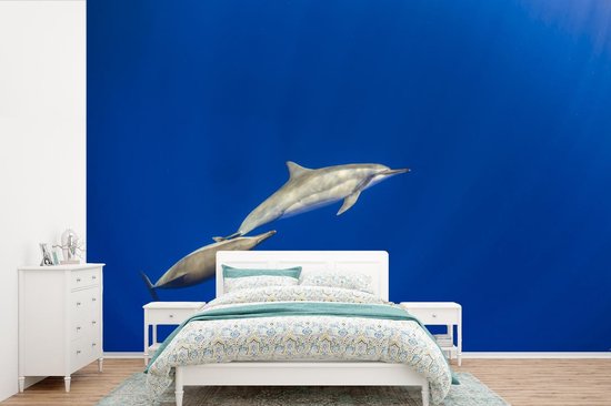 Fond d' écran - Papier peint photo - Natation Dauphins Image Sous - Marine - Largeur 450 cm x Hauteur 300 cm