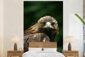 Behang - Fotobehang Arend - Bruin - Roofvogel - Breedte 180 cm x hoogte 280 cm