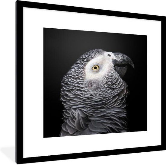 Fotolijst incl. Poster - Close-up grijze papegaai - 40x40 cm - Posterlijst